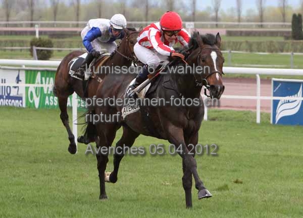 Lumisson 6 Zwahlen prot